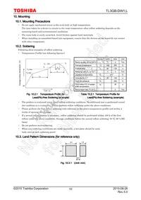 TL3GB-DW1 Datasheet Page 10