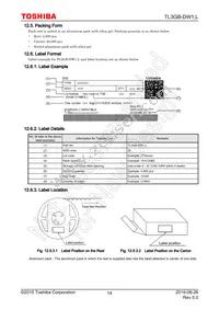 TL3GB-DW1 Datasheet Page 14