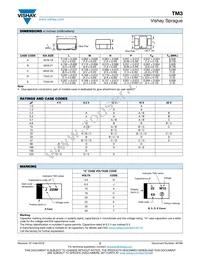 TM3E227M010LBA Datasheet Page 2