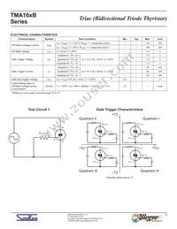 TMA164B-L Datasheet Page 3