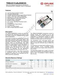 TRBUG1CBBC000E2G Datasheet Page 2