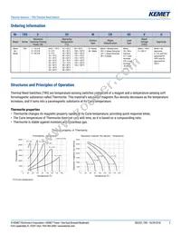 TRS5-90BLRVU Datasheet Page 2