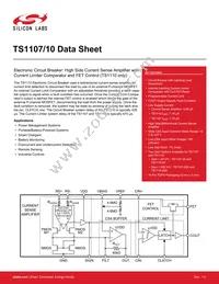TS1110-20ITQ1633T Datasheet Cover