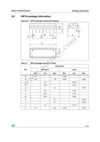 TS1874AIN Datasheet Page 21