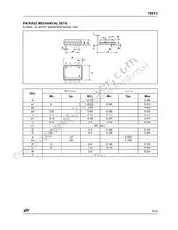 TS613IDWT Datasheet Page 9