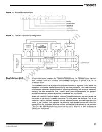 TS68882VR25 Datasheet Page 21