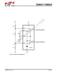 TSM933ESA+ Datasheet Page 17