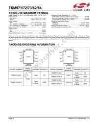 TSM984ESE+T Datasheet Page 2