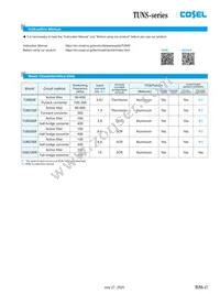 TUNS700F48-P Datasheet Page 17