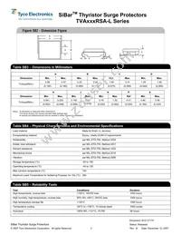 TVA300RSA-L Datasheet Page 3