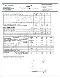 TVB058SA-L Datasheet Page 2