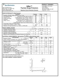 TVB300SB-L Datasheet Page 2