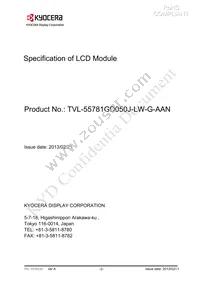 TVL-55781GD050J-LW-G-AAN Datasheet Page 2