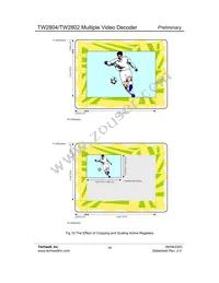 TW2802-FA Datasheet Page 19