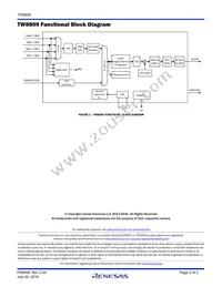 TW8809AT-NA2-GR Datasheet Page 2