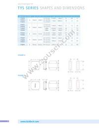 TYS60283R3N-10 Datasheet Page 6