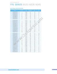 TYS60283R3N-10 Datasheet Page 13