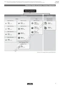 TZ03Z500E169B00 Datasheet Page 5