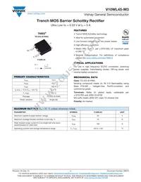 V10WL45-M3/I Cover