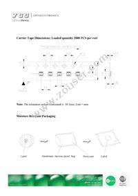 VAOL-S19337R6GHBH Datasheet Page 9