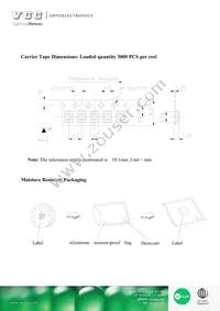 VAOL-S8YP4 Datasheet Page 6