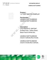 VAOM-C12571G-BW/40 Datasheet Cover