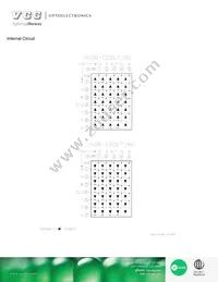 VAOM-C20571G-BW/40 Datasheet Page 4