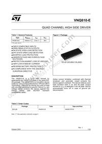 VNQ810TR-E Datasheet Cover