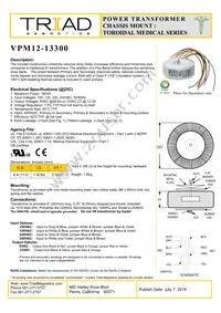 VPM12-13300 Datasheet Cover