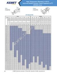 VRR50V103KGS Datasheet Page 16