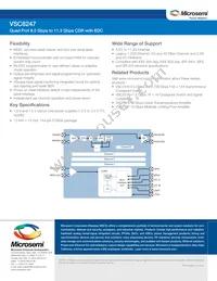 VSC8247YJB-01 Datasheet Page 2