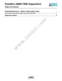 W2F15C1038AT1B Datasheet Page 2