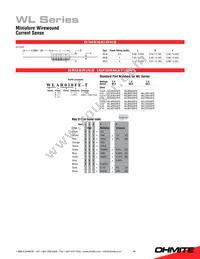 WLCR100FET Datasheet Page 2