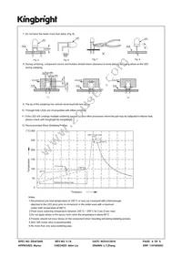 WP57IID Datasheet Page 6