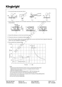 WP710A10GD Datasheet Page 6