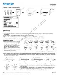 WP799EGW Datasheet Page 4