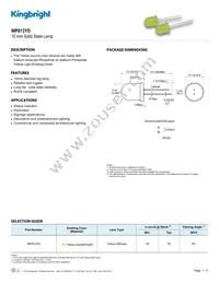 WP813YD Datasheet Cover