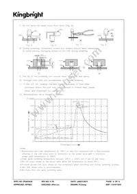 WP914GT Datasheet Page 6