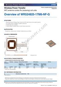 WR524825-17M6-NF-G Datasheet Page 2