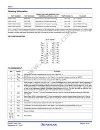 X9521V20I-A Datasheet Page 2