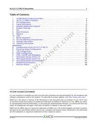 XL232-512-FB374-I40 Datasheet Page 2