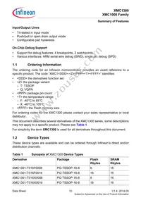 XMC1302T038X0016AAXUMA1 Datasheet Page 10