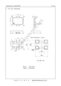 XNCLH10M000THJA0P0 Datasheet Page 4