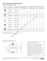 XPGDRY-L1-0000-00601-SB01 Datasheet Page 2