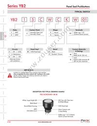 YB226CWSKW01-N-S Datasheet Page 3