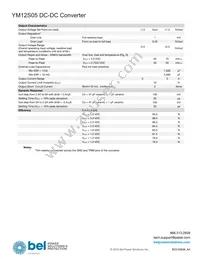 YM12S05 Datasheet Page 3