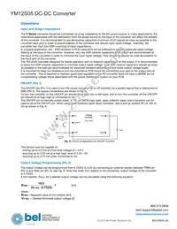 YM12S05 Datasheet Page 4