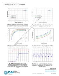 YM12S05 Datasheet Page 8