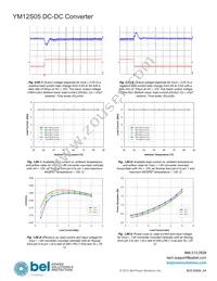 YM12S05 Datasheet Page 13