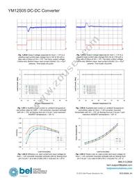 YM12S05 Datasheet Page 17